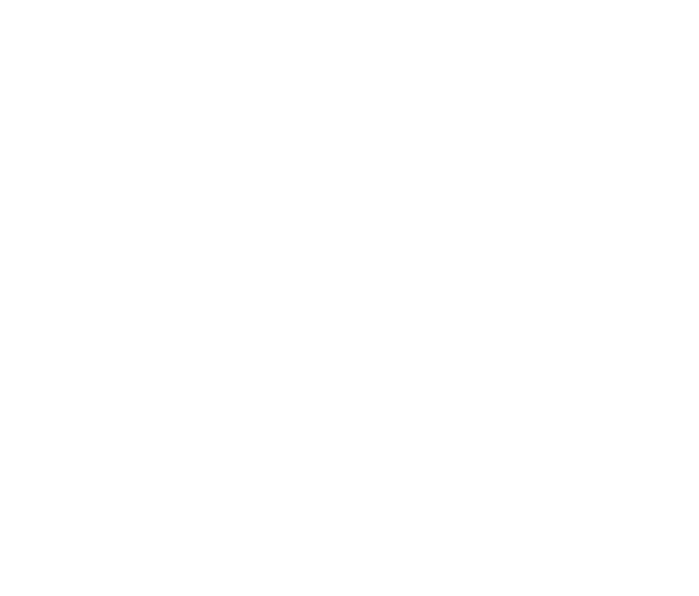 NUV POS logo